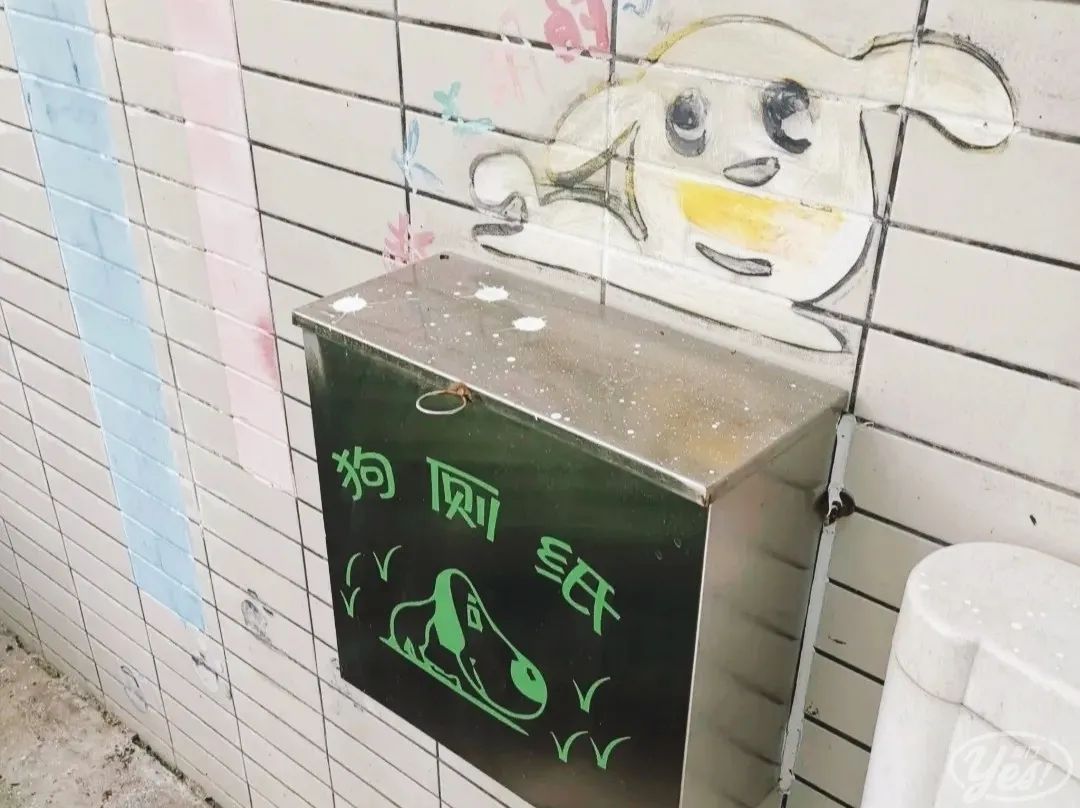 “去过厦门的公厕，我再也看不上五星级酒店了”