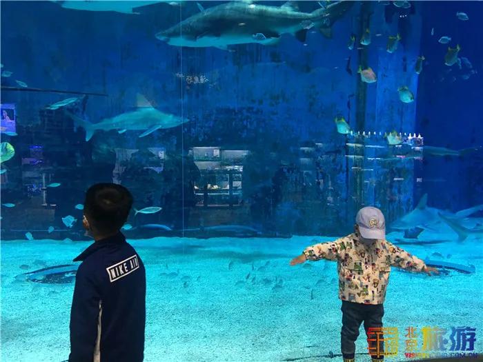 周末有风？别怕，来北京这里看花花草草和无数小可爱！猜到是哪里了吗？