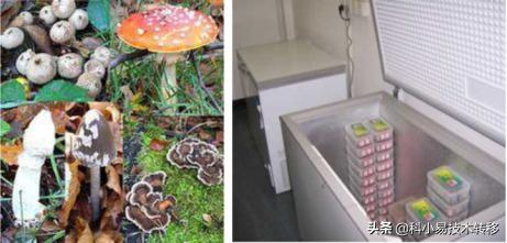 「项目精选」103期：生物医药领域精选科技成果推荐