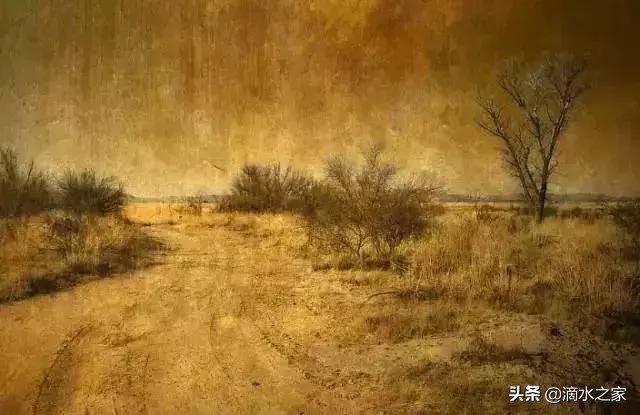 滴水之家：生活小妙招，招招皆大用！