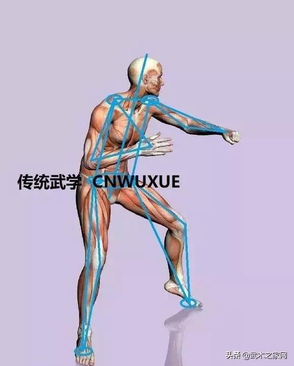 练太极怎么旋腰转胯,陈雄太极拧腰转胯法讲解视频