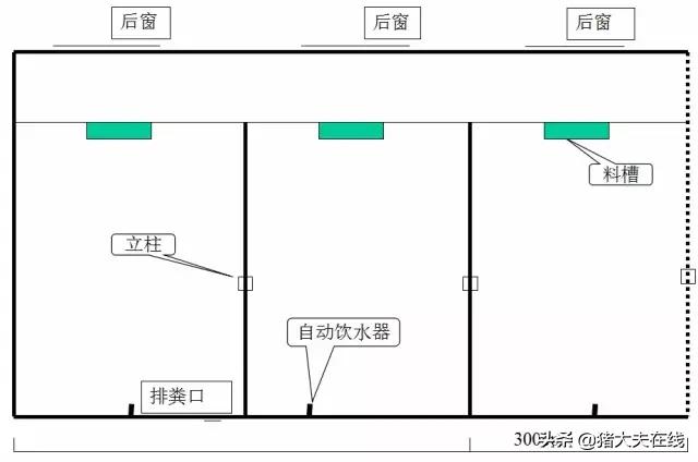 养猪猪舍设计建造,养猪最好的猪舍建造方法