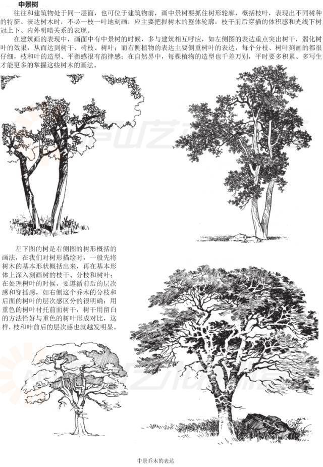 儿童绘画涂色基础入门教程,零基础新手绘画入门教程