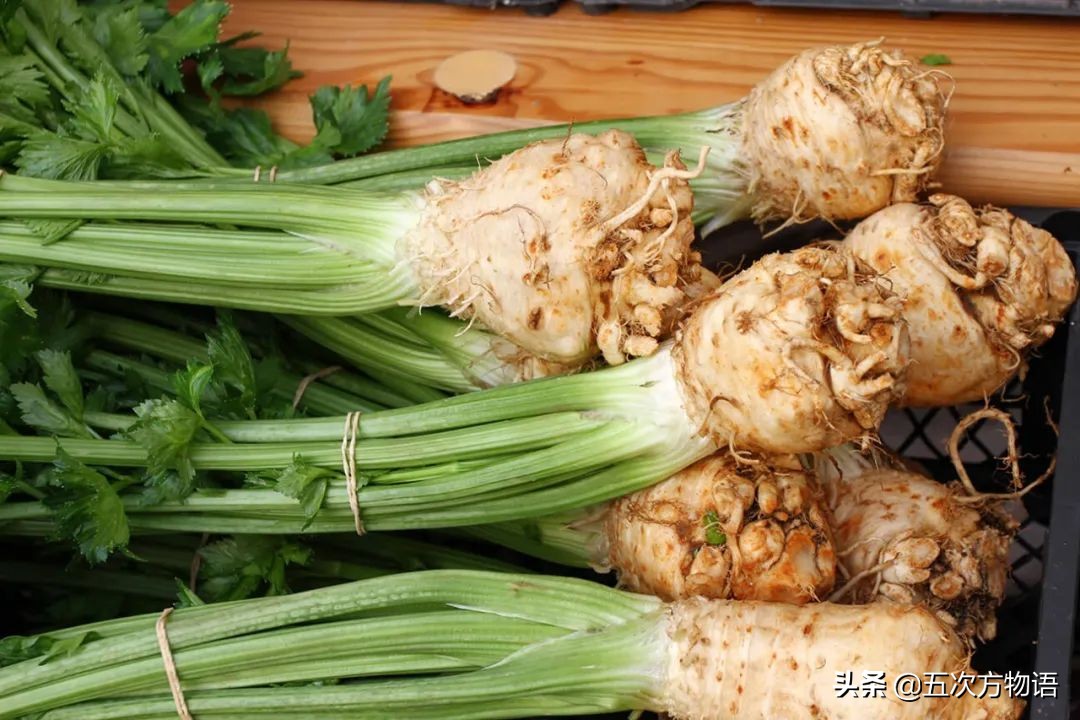 欧洲十大奇怪蔬菜 (欧洲冷门蔬菜)