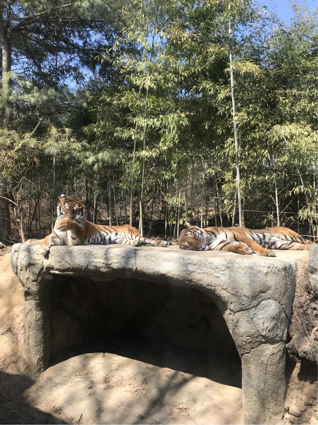 三星爱宝乐园面积,韩国爱宝乐园游乐园