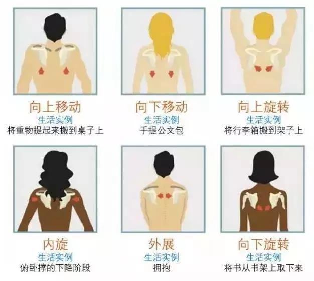 胳膊疼抬不起来理疗手法,胳膊疼的抬不起来怎样锻炼