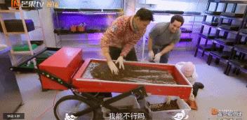 笑完后才发现的真实事件,笑完后才发现原来说的那么真实