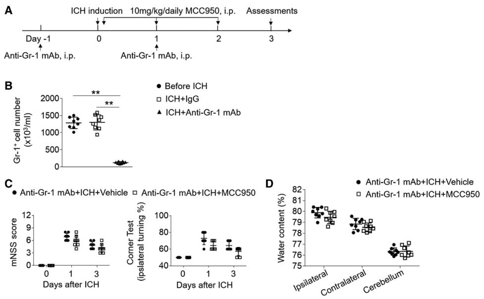 nlrp3抑制剂研究进展,nlrp3抑制剂临床