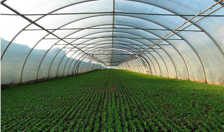 大棚湿度最佳解决方法,大棚育苗怎么控制温度湿度