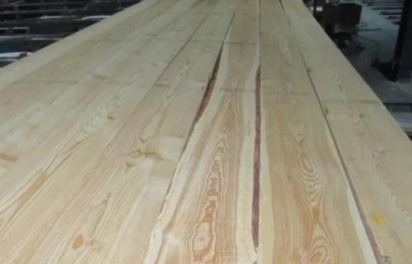 俄罗斯原产地落叶松,俄罗斯红松和落叶松价格