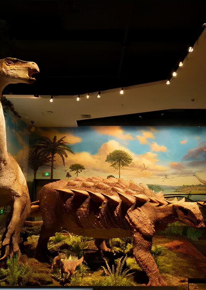 帷思特tch舒适家旗舰店直播,帷思特tch无锡店