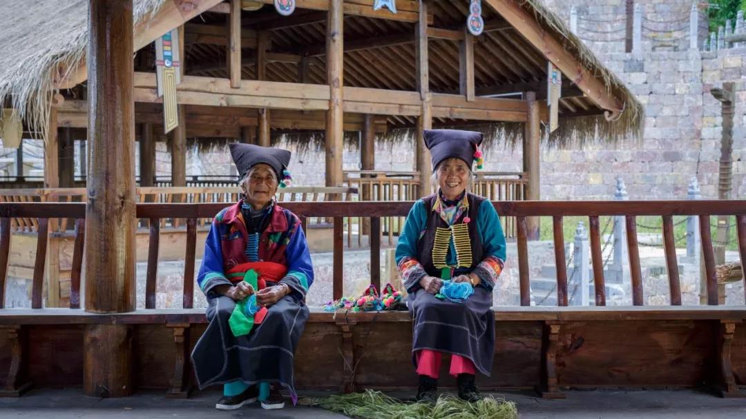 这是一个生机勃勃的地方关于它的故事才刚刚开始