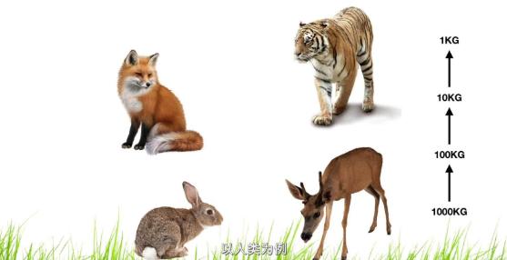 1816年出现六月飞雪，真的不怪窦娥，而是另有隐情