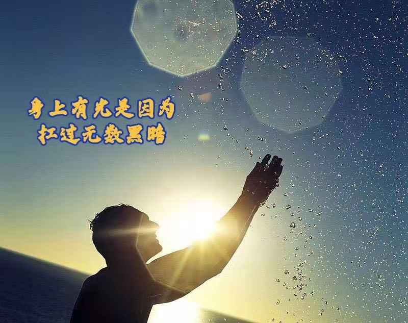 来到智汇盟的收获,我在成长中的蜕变