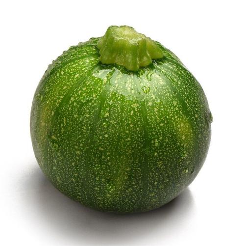 胎儿发育全过程标本,是否能看到胎儿的发育过程