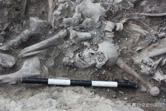 解密十字军东征背后的真实,十字军东征史纪实