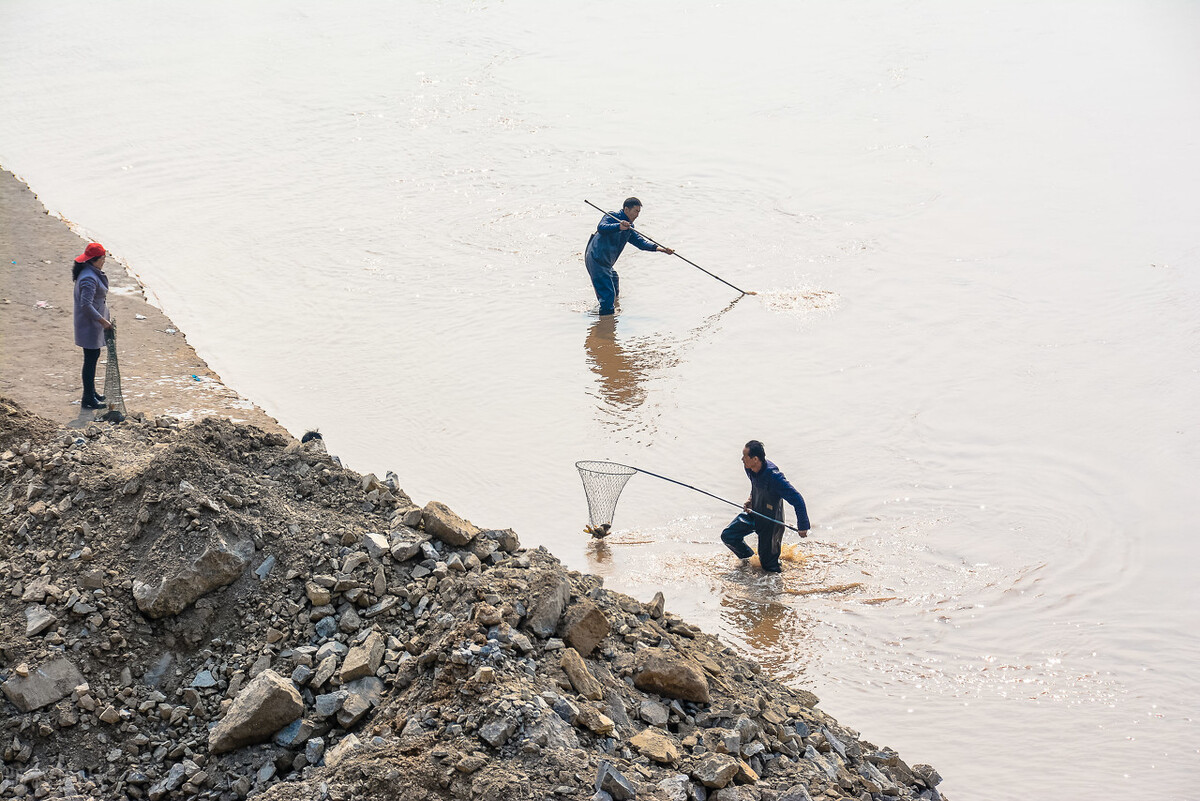 黄河为什么仍然浑浊,黄河为什么成为悬河也不清理