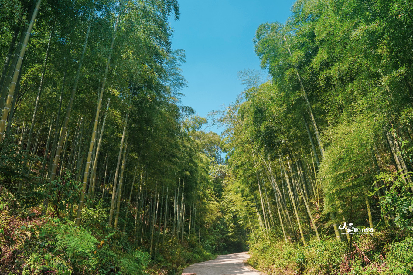 最接地气的大自然度假村,安吉旅游度假村推荐