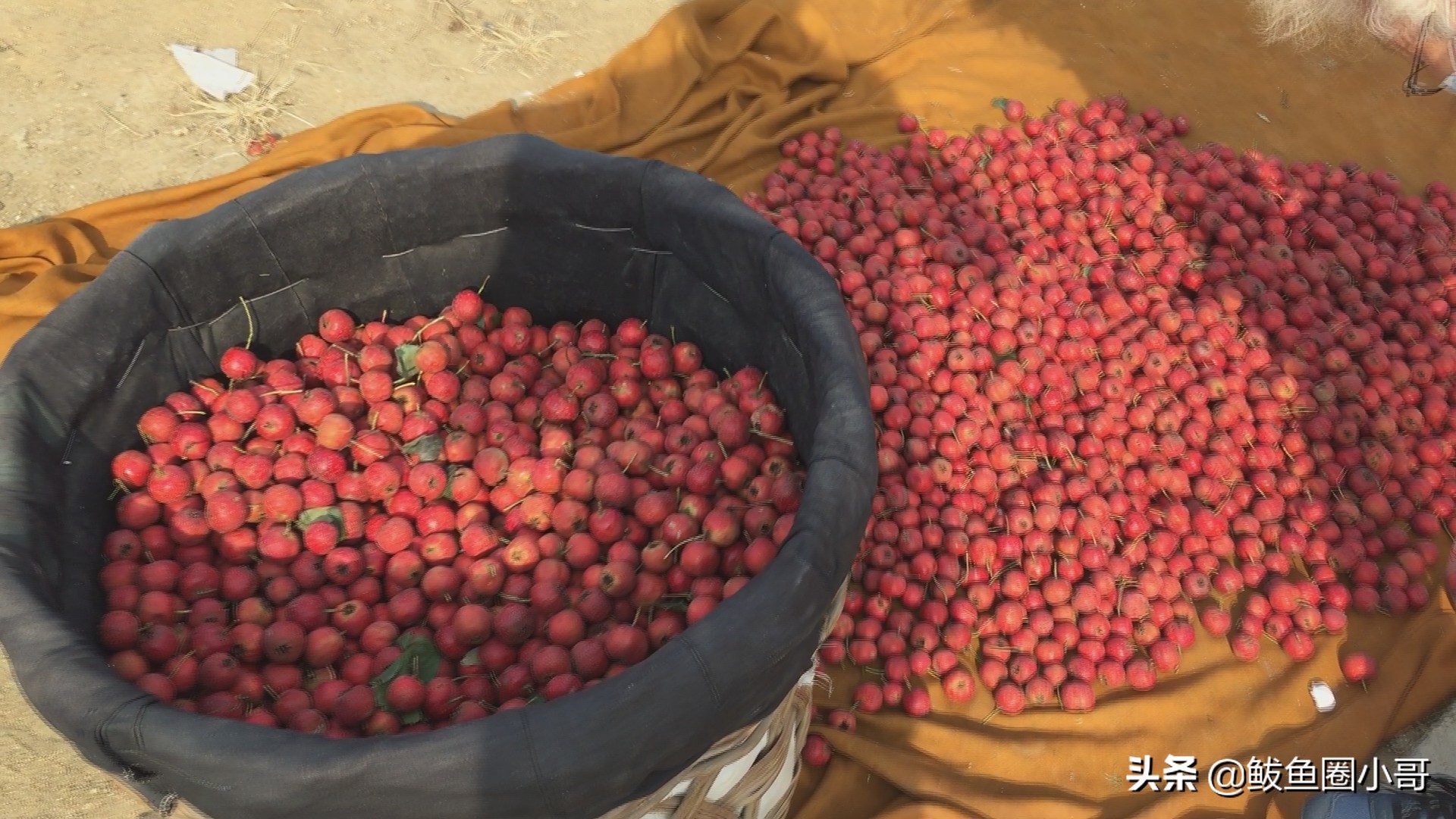 年前的红旗大集,红旗大集的历史