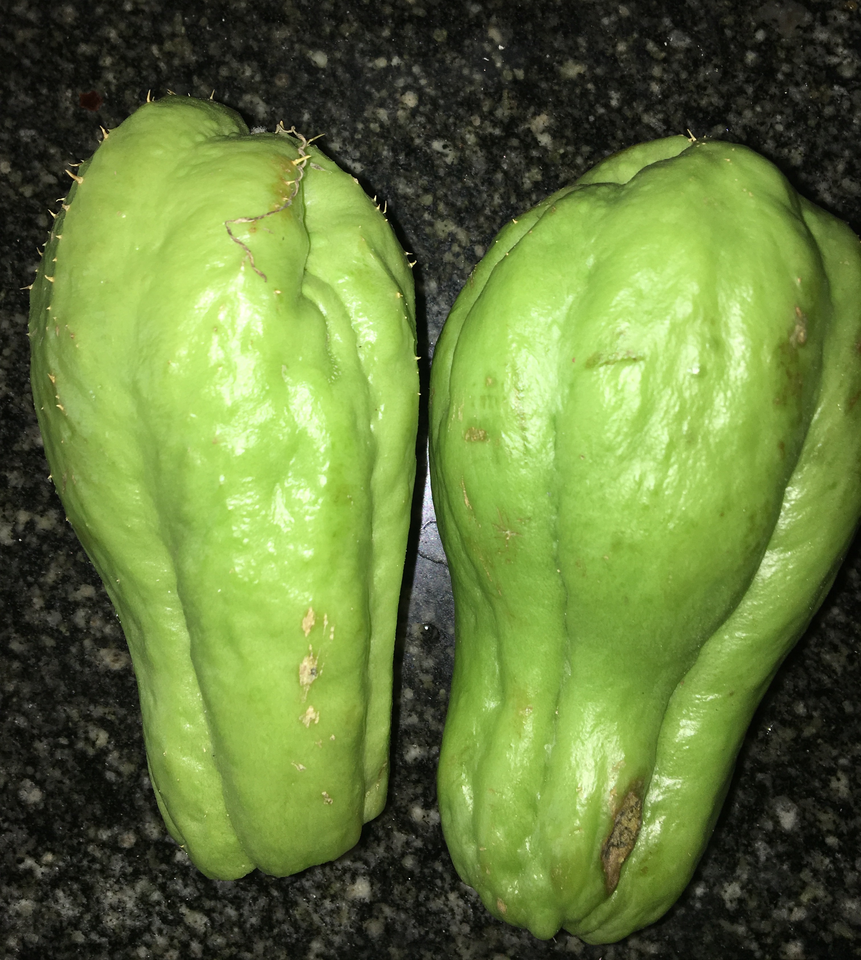 佛手瓜是什么果,佛手瓜属于水果