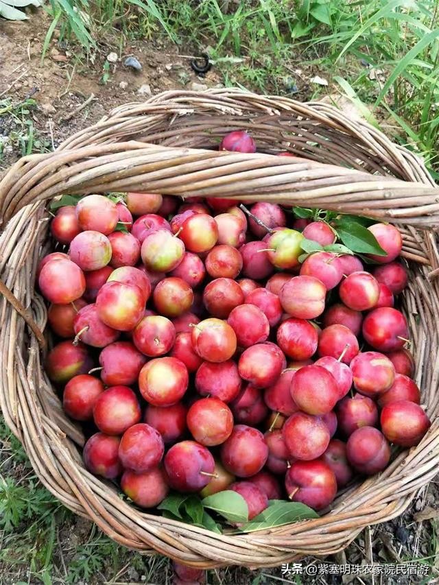 遵化有山有水的农家院,遵化美丽农家院