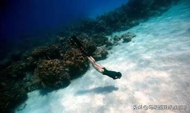 建议在哪里拿潜水证,如何免费学习潜水证