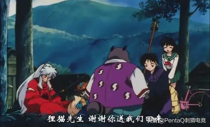 灵魂莲华锤石蠢狸猫,你的调皮小可爱已上线图片