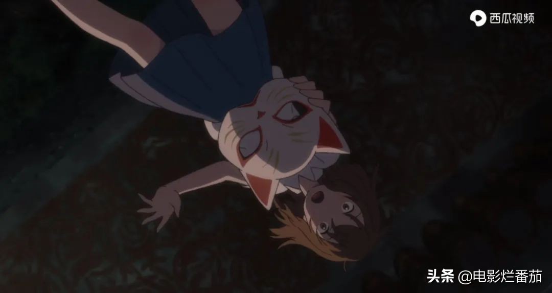 这部温情的撸猫片,让我哭得溃不成军,这是全世界猫*党**的胜利