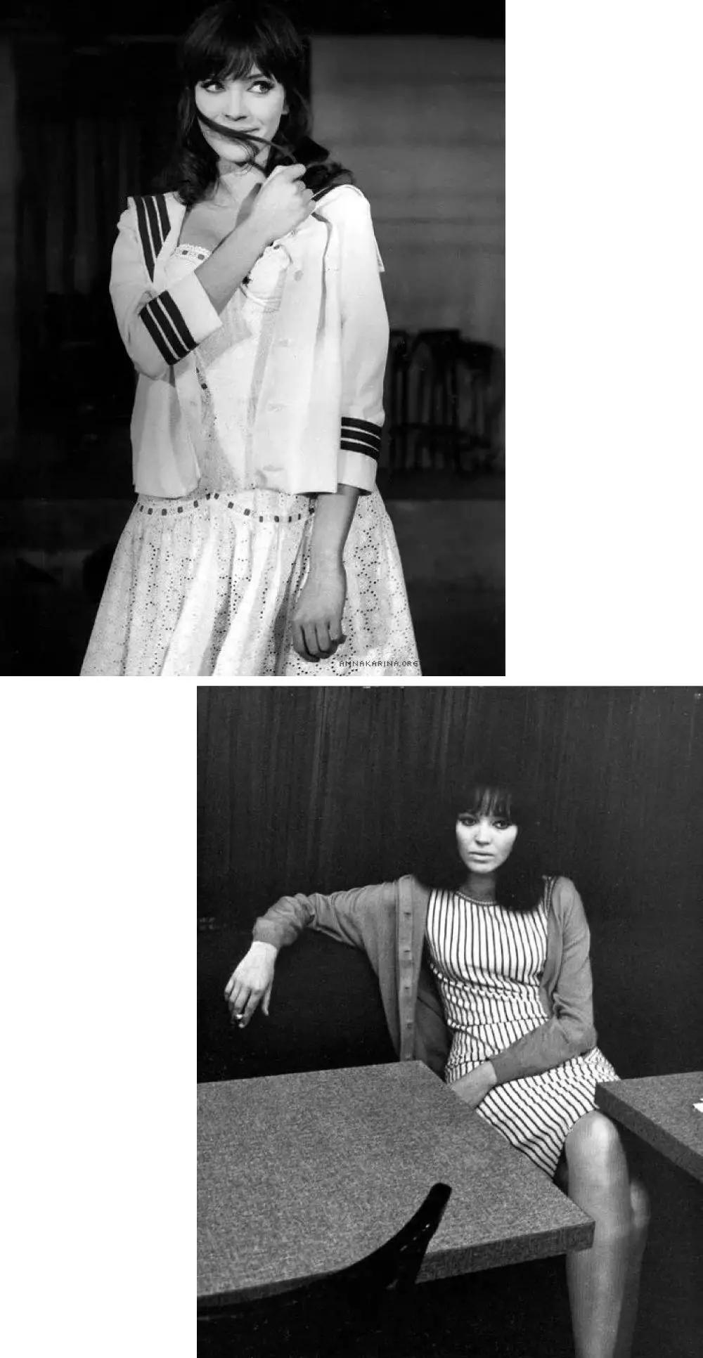 法国新浪潮安娜,安娜·卡里娜法国新浪潮女演员