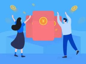 麦家鸿,麦家鸿包