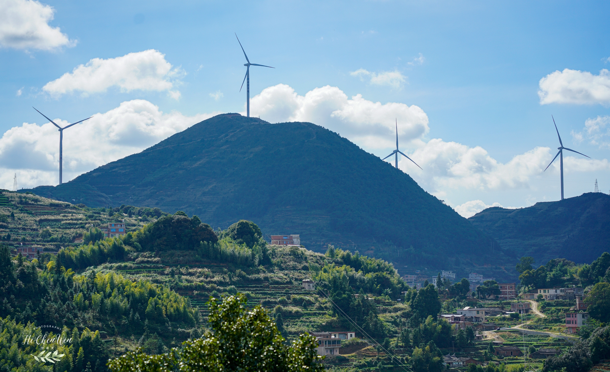 中国十大品牌铁观音茶叶,铁观音福建中国十大名茶