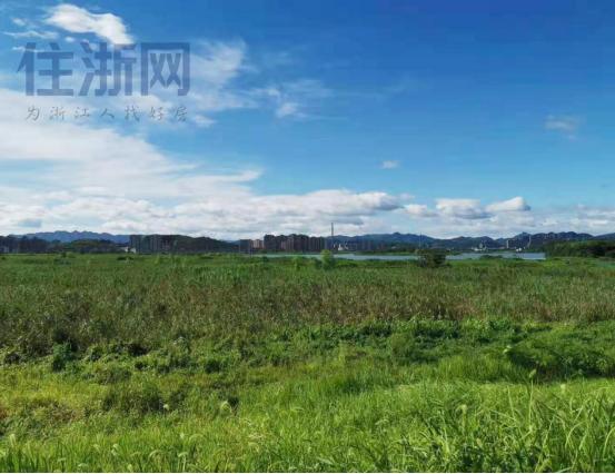 杭州湘湖附近滨江的楼盘,杭州萧山滨江翠栖府多少钱一平方