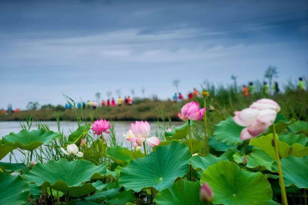 张掖是哪里,什么是张掖人