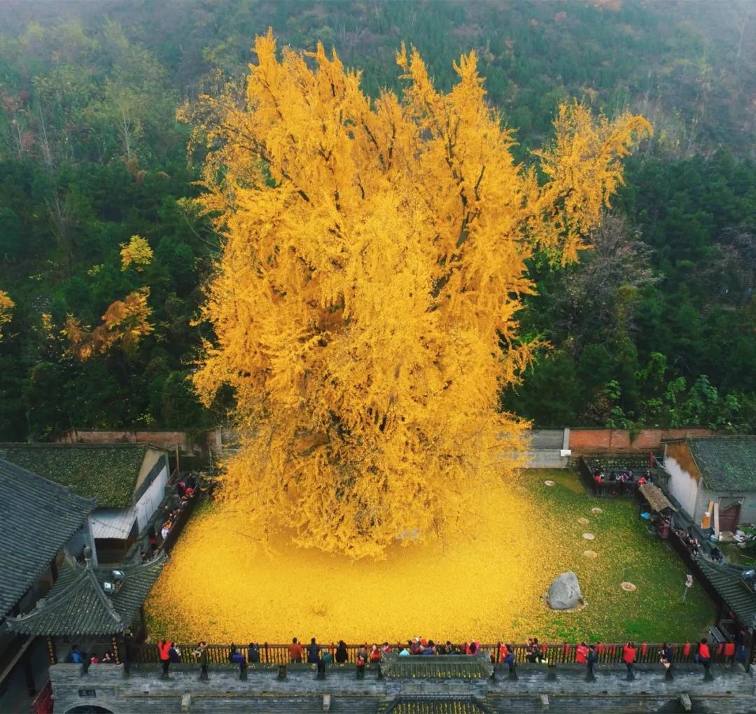 什么是形而上学,什么是西安旅游