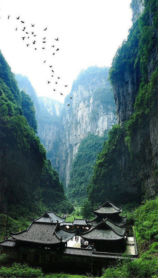 送你一张绝美壁纸,送你一张超美竖屏壁纸