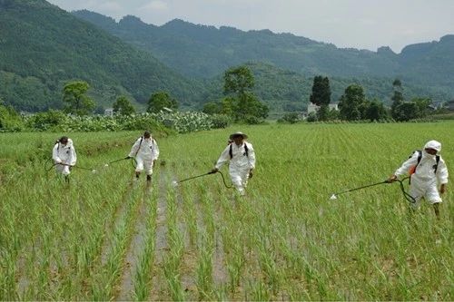 中国农业补贴全世界,中国农业补贴和外国相比