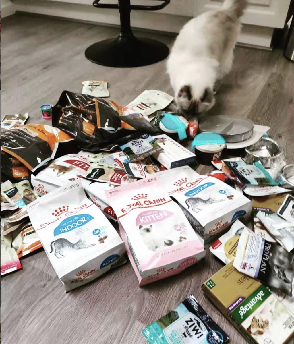 卫仕猫粮和江小傲猫粮哪个好,奇境猫粮和素力高猫粮哪个好