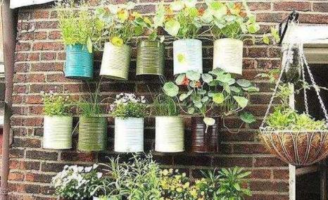 高层阳台种植蔬菜阳光非常充足,阳台采光不好可以种的蔬菜水果