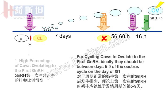 繁殖管理——使用双PG同期发情提高繁殖力