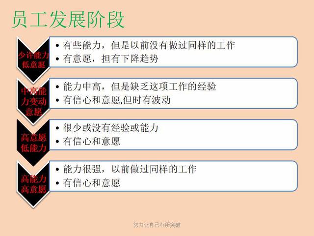 连锁企业管理十大原则,连锁企业经营的基础有哪些
