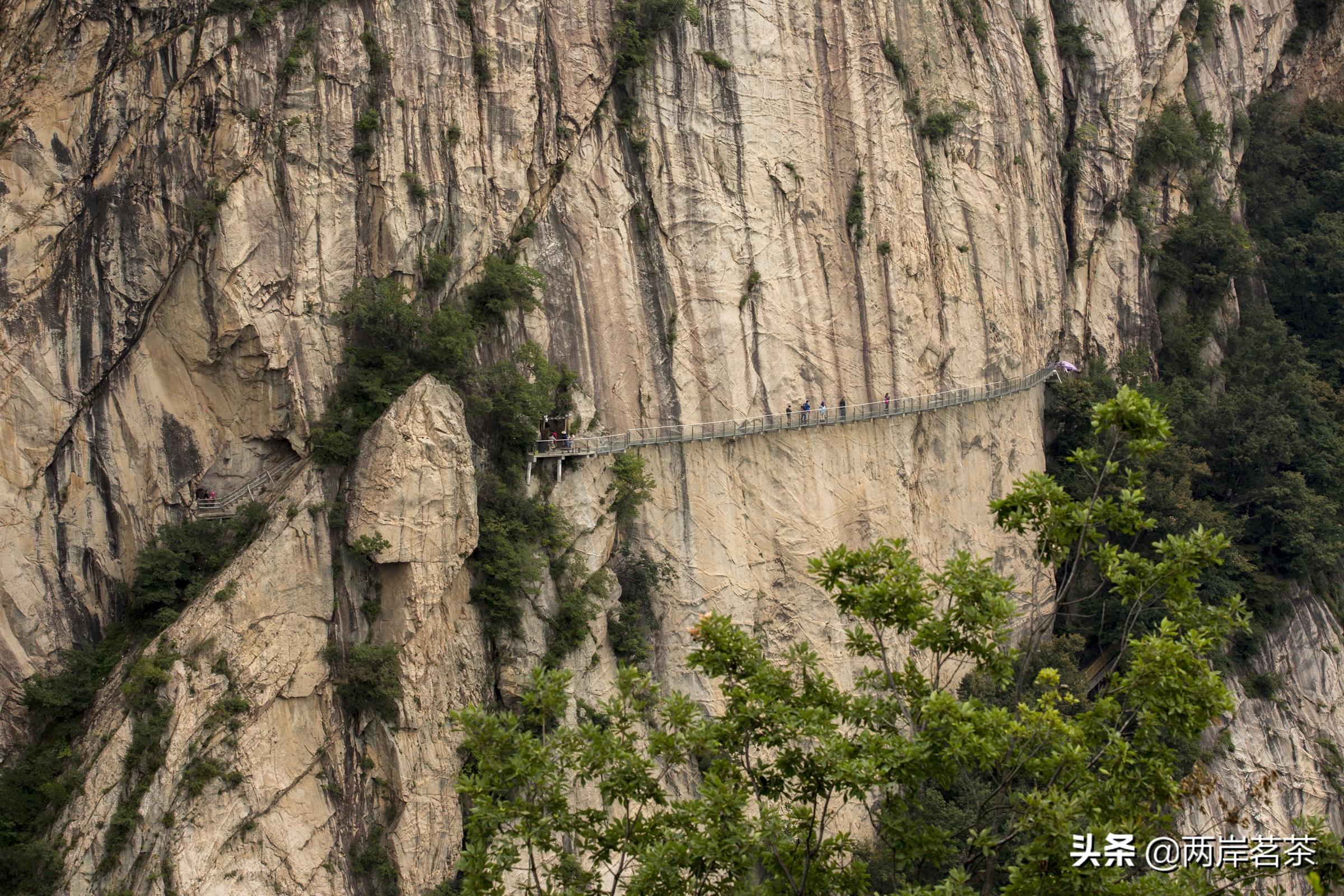 再看白云山，看山不是山，它是一本百读不厌的百科全书