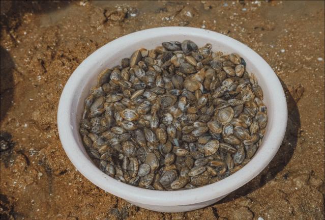 生活在海边的人皮肤特点,日照海边的魅力