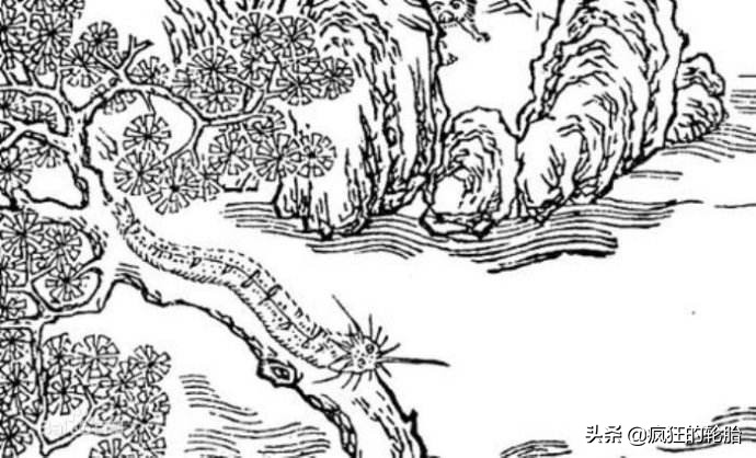 《山海经》南山经：从广西到广东路线，绕湖南碰到了魔幻的动物