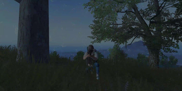 刺激战场从菜鸟到大神攻略,刺激战场进阶攻略