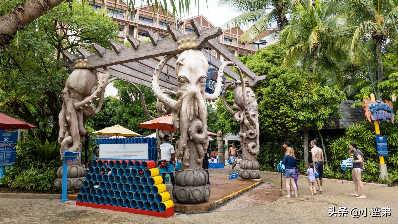 5年之许,小白逆袭重返新加坡