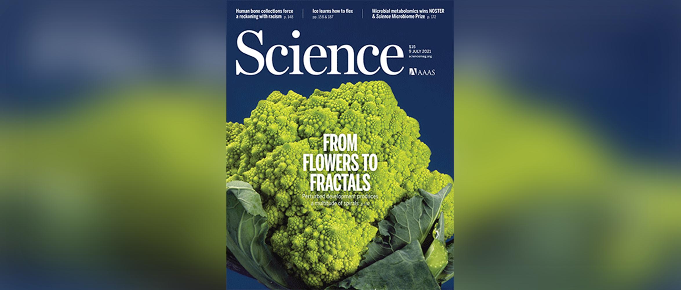 今日Science：遗传对肠道菌群的影响，可比原以为的大