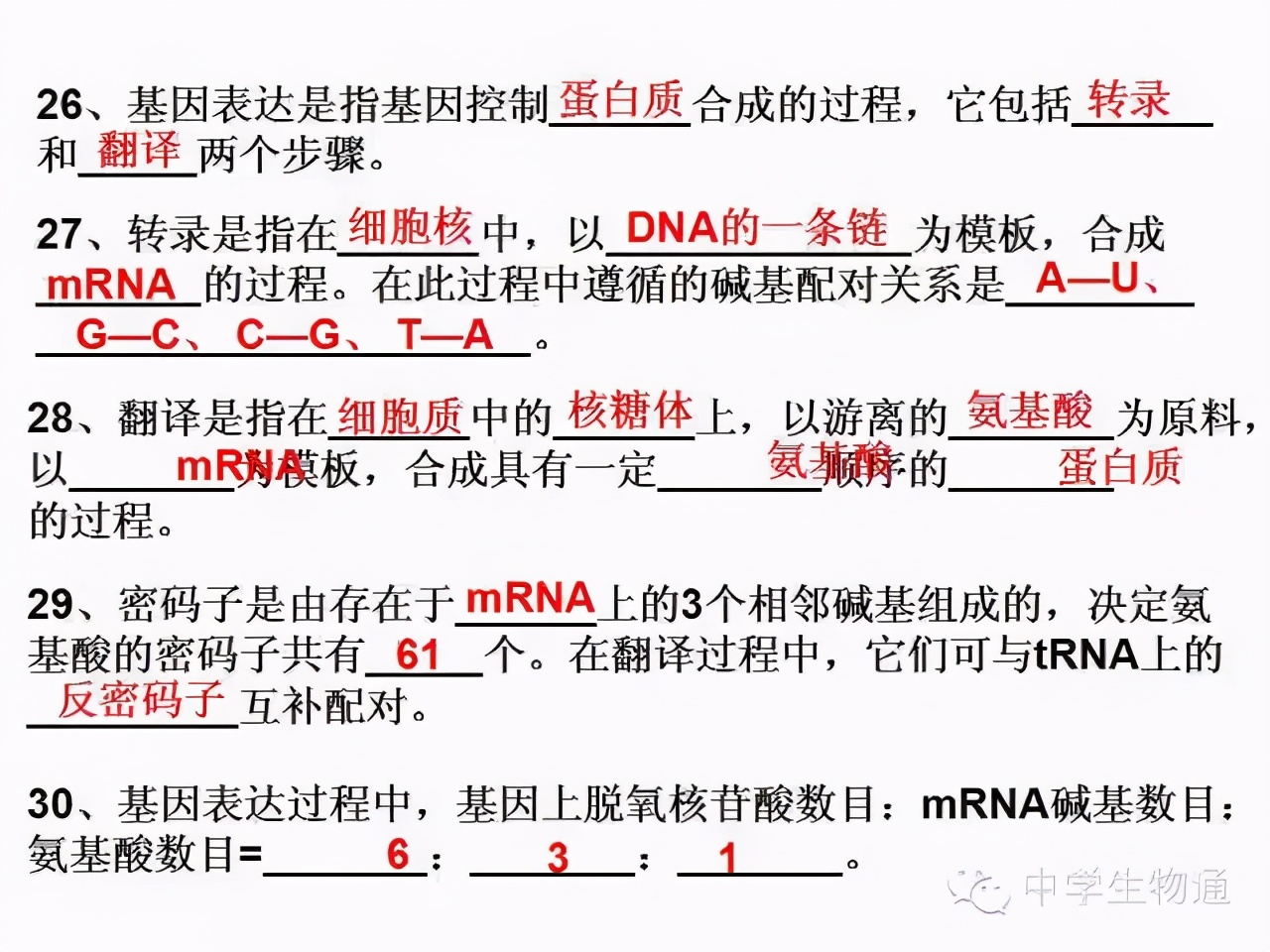 高中生物复习资料必修一,高中生物复习资料大全2019
