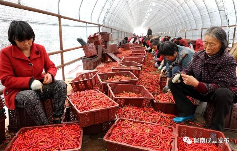 我叫成县，这是我2019年的自拍照~