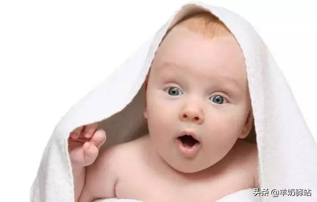 关于益生菌的常见问答，条条都是干货