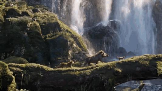 狮子王辛巴体型有多大,狮子王辛巴成长记录